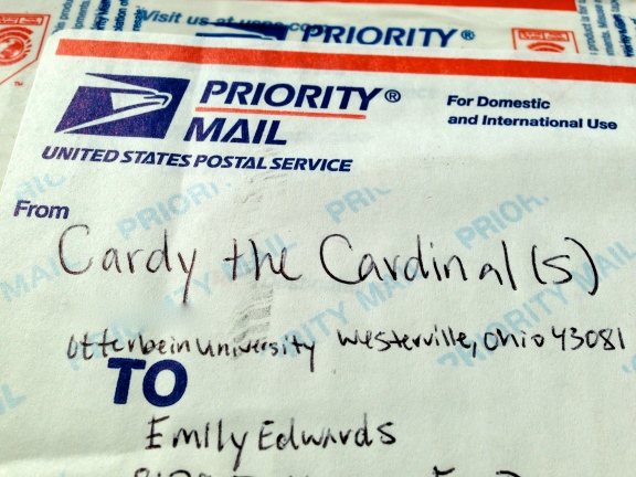 Cardy the Cardinal(s): aka my best friends